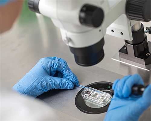 中医助力试管进周：调理方案大公开