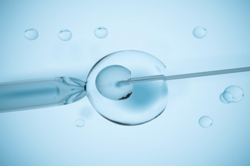 <strong>探究HMG：尿促性腺激素对生育能力的积极影响</strong>