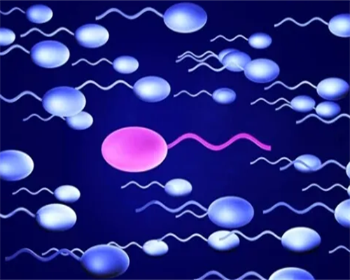 试管夜针注射全流程视频演示