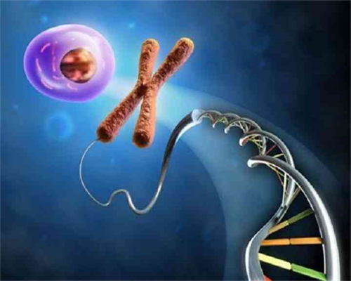 科幻照进现实：未来人类会停止自然生育吗