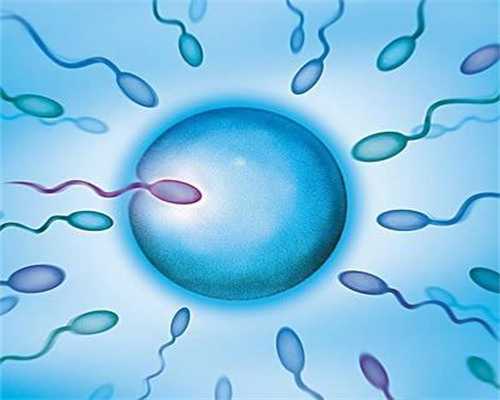 遗传密码重新定义：借卵生育的科学原理