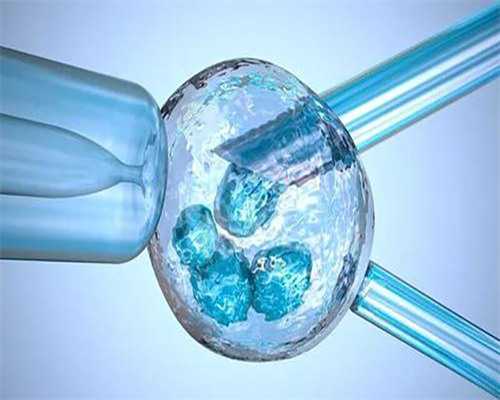 促排最后阶段饮食指南：助力夜针效果加倍