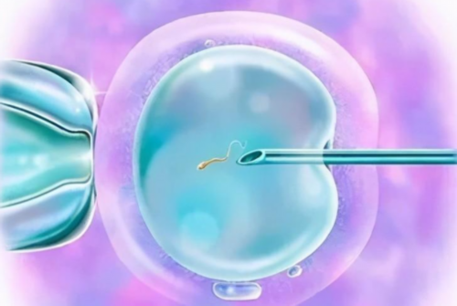 试管婴儿实验室探秘：显微镜下的生命奇迹