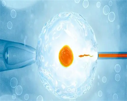 胚胎解冻前必须知道的五个准备事项
