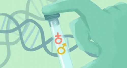 无法生育怎么办？借卵生子全流程解析