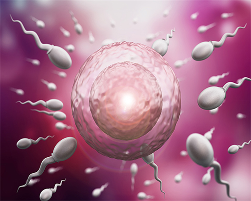 借卵生子医院术后康复指南，快速恢复身体健康