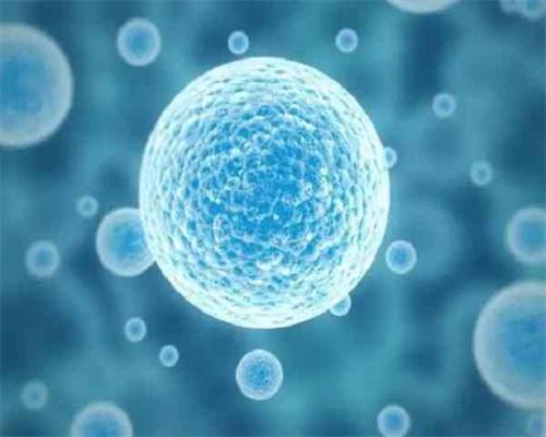 <strong>哄睡神器清单大测评</strong>